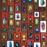 Beetle Cabinet '07 (52x60)